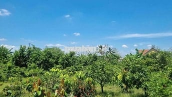 🔥  BÁN ĐẤT ĐỊNH QUÁN - ĐỒNG NAI 🔥