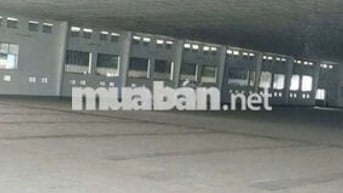 Xưởng Củ Chi 5500m giá 1.5 usd/m