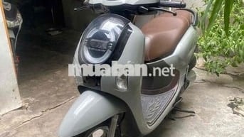 Honda Scoopy 110 2025 Xám 7000km