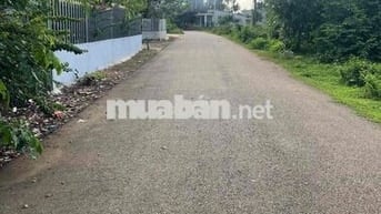 🏡 Đất Sông Xoài Phú Mỹ 100m² Thổ Cư – Giá Chỉ 1,5 Tỷ