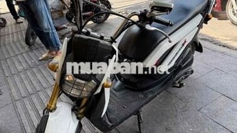 Honda Zoomer X Trắng Xăng
