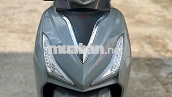 Kymco Candy 50cc 2024 Xám xi măng