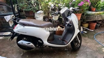 Honda Scoopy 2024 Smartkey Trắng