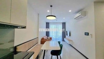 Cho Thuê Căn Hộ Chung Cư Csky-View Chánh Nghĩa 2PHòng Full Đẹp