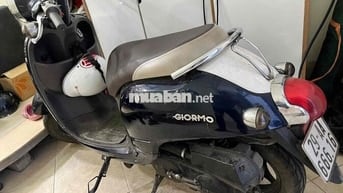 Honda Giorno 50cc Xanh đậm, Trắng