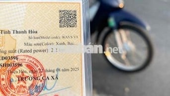 Honda Wave S110 Xanh Bạc 50cc