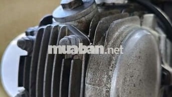 Honda Dream Việt Trắng Nâu Nguyên bản