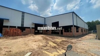cho thuê xưởng kế bên kcn visship2 tân uyên - bình dương
