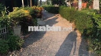 Chính chủ cần bán đất Tân Thạnh Đông (Gia hạn sử dụng đất tới 2075)
