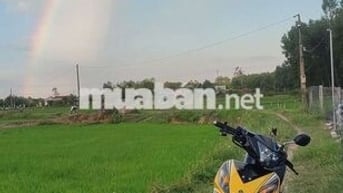 Yamaha Exciter 2010 Vàng Xe máy côn tay