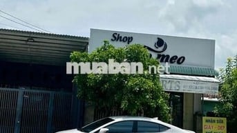 Muốn bán xe chính chủ từ mới