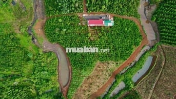 Nhà vườn nghỉ dưỡng đất 2ha ôm suối chính chủ cần tiền bán lỗ!