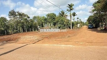Bán đất gần đường tránh Đông, gần điểm vào Cao tốc
