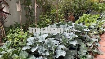 BÁN CHUNG CƯ 536A MINH KHAI – CÓ SÂN VƯỜN RIÊNG – NHÀ ĐẸP Ở NGAY