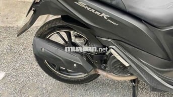 SYM Shark mini 125cc 2016 Đen, Xanh
