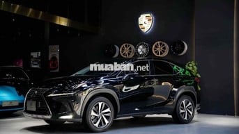 Lexus NX300 2021 Đen 45.000km