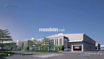 Cho thuê xưởng sản xuất 2.900m2 Trần Văn Giàu Bình Tân giá chỉ 210 tr
