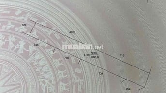 Bán 4000m2 đất trồng lúa- xã An Thạnh Trung