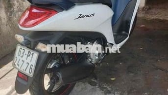 Yamaha Janus 2018 Trắng