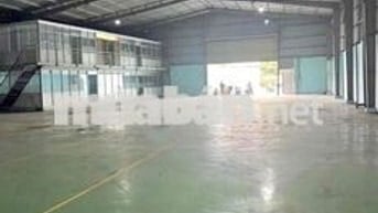 Diện tích xưởng 1000m², Thới An, Quận 12