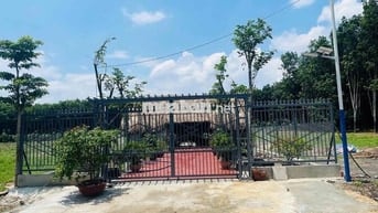 Vợ chồng em từ lúc cưới tới giờ được 5 năm có mua được miếng đất định