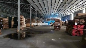 Xưởng Thuận An 1000 Có PCCC Đường Cont