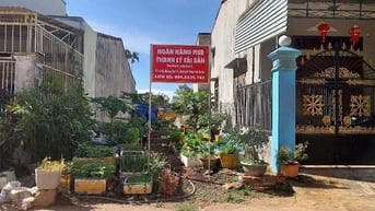 Công ty đấu giá hợp danh Sao Việt 