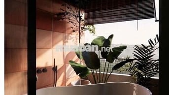 Cho thuê toà nhà căn hộ cao cấp