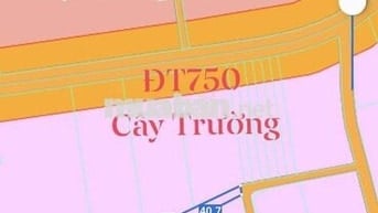 Bán lô đất 2800m tc 100m giá cực rẽ cho anh chi mua làm kho xưởng sx