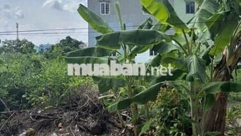 Bán 3 lô Đất 16x20m, đường tập đoàn 4, TT Cần Giuộc, Long An