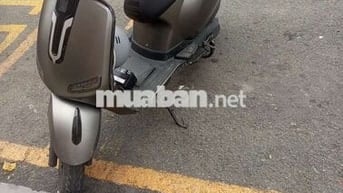 DVM 50cc xe xăng Xám 1 năm sử dụng