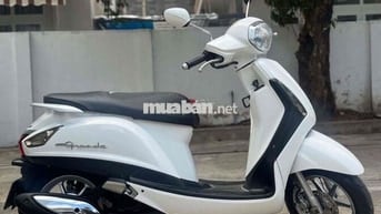 Yamaha Grande Trắng Đã sử dụng