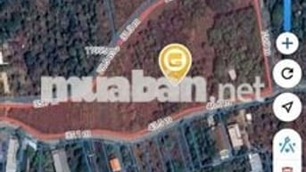 đất trồng cây lâu năm và đất ở