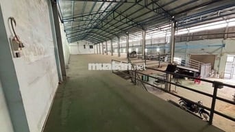 xưởng Xuân Thới Sơn hóc môn DT 800m giá 35tr