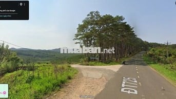 BÁN GẤP LÔ DẤT 1,7HA CÀ PHÊ - ĐẤT CHIỀN ĐỒI NHẸ - CÓ SUỐI!