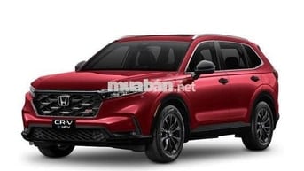 Honda CR-V e:HEV Hybrid màu Đỏ