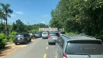 Bán đất 1387m đang trồng cao su hơn 6năm ra đường nhựa Nam Lộ chỉ 400m
