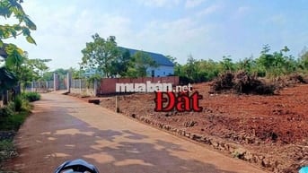 5.5 x 24 80m2 thổ cư 395tr sổ riêng Xuân Sơn TPHCM 