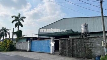 Nhà xưởng cho thuê 850m2 mặt tiền 25*35 cao ráo thông thoáng