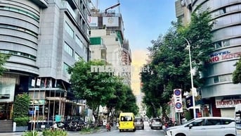 SIÊU PHẨM MẶT TIỀN LÊ THỊ HỒNG GẤM – QUẬN 1 - 4,5x25m - 3 TẦNG 