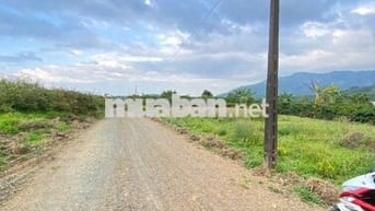 Tôi chính chủ đang kẹt tiền bán lỗ đất  hẻm Đinh Công Tráng TP Bảo Lộc