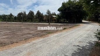 CHỦ GỬI EM BÁN   ĐẤT 134m2 (FULL THỔ) Ở TRẢNG BÀNG SÁT KCN PHƯỚC ĐÔNG