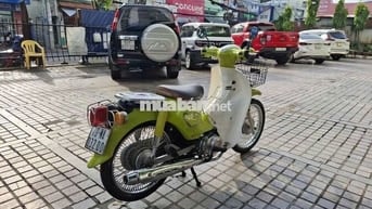 Honda Cub 50cc