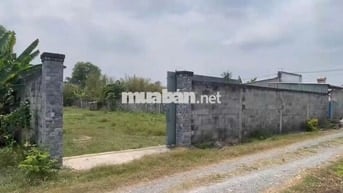 Cần bán mảnh đất lớn đẹp lớn 1287m2 ở Phước Thạnh, Củ Chi giá 2,6 tỷ