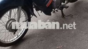 Suzuki Viva 110 Xanh Xe số