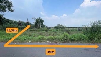 Công ty Đấu giá hợp danh Lam Sơn Sài Gòn THÔNG BÁO ĐẤU GIÁ TÀI SẢN