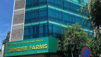  CHO THUÊ VĂN PHÒNG ĐẠI DIỆN TRUNG TÂM QUẬN 5 