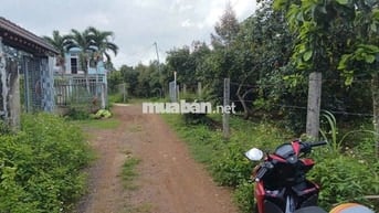 Bán 122m2 Xuân Quế Cẩm Mỹ  củ  , TP Đồng Nai 420tr