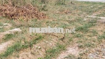 Bán gấp đất thổ cư 150m² sổ riêng Tây Ninh - chỉ 420 triệu