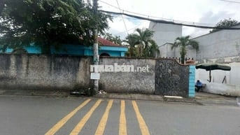 bán đất lớn kinh doanh tại Chợ Hóc Môn